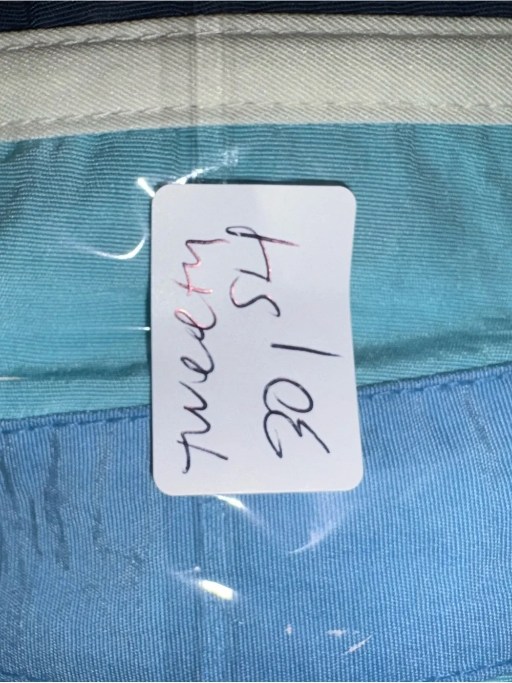 Vintage 1999 looney tunes tweety Navy Swim Trunks with Light Blue Stripes